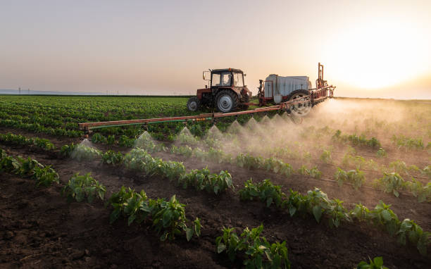 Best Pest Control for Businesses  in Davenport, WA