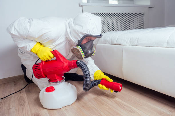 Best Ant Control Services  in Davenport, WA